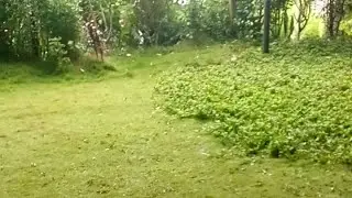Acara Merti desa  ds gemilap wonosuko
