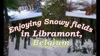Enjoying Snowy fields in Libramont, Belgium II Beautiful snow walks in Ardennes II Floating Feathers
