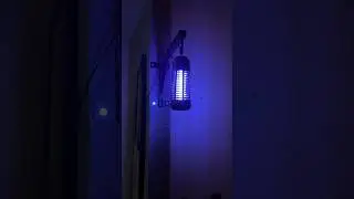 Esta es la mejor manera de exterminar a los insectos ❌ #steren #insectos #mosquito