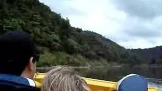 On the jet boat, upstream at the Whanganui River