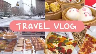 New York Travel Vlog: MET, Snowing, Food, Soup Dumplings, Hadestown, Coffee, Pizza, Time Square