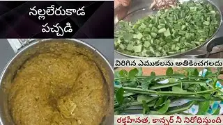 నల్లలేరుకాడ పచ్చడి | Nalleru Pachadi