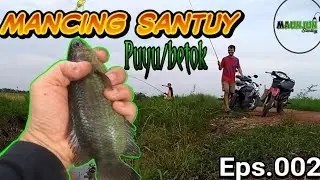 Serunya Rame-Rame Mancing Ikan Betok Di Pinggir Sawah - Maunjun Papuyu #2