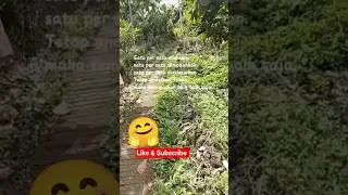 fase demi fase dilalui 🤗