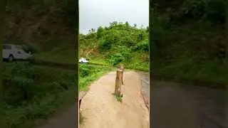 Mini bandarban #coxsbazar #Goalia palong valley, Ramu, Cox's Bazar ।। মিনি বান্দরবান।। #shorts