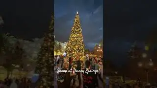 Snoap! The only kind of snow I like! #christmas #disneysprings