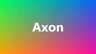 Axon - Medical Meaning