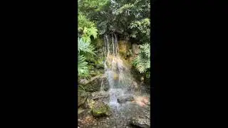 Alone Again (Naturally) &middot; Gilbert O'Sullivan -1HOUR