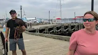 Walking Halifax Waterfront on a Warm August Day
