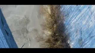 Winter 2021 - De IJsselvallei Gelderland