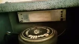 Spring reverb tank from the little Gorilla GG-20R Reverb Amp 😀