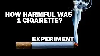 How Harmful Was 1 Cigaratte? | Experiment | kovai 360