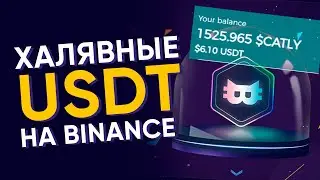 CATLY - ХАЛЯВНЫЕ USDT НА ТВОЙ BINANCE