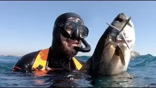 La Chasse du Lieu Jaune - Chasse sous marine 2019