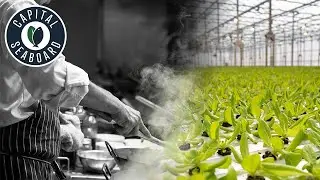 The Chef, The Farmer, & The Fisher | District Farms