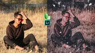 Snapseed Amazing Winter Fall Tone Effect Photo Editing | New Lightroom Tutorial | Snapseed App