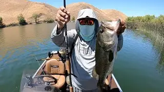 BASS FISHING THE D DAM NED RIG AND FROG LURES