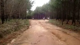 MOV02551