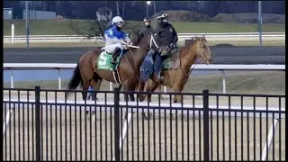 March to History: Steve Asmussen chases 10,000 Career Victories