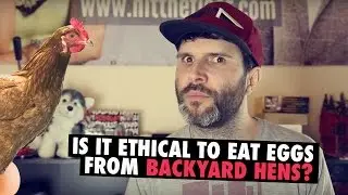 Is It Ethical To Eat Eggs From Backyard Hens? The Final Answer! #vegan #ethics