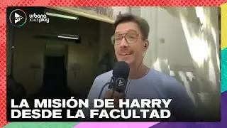 Harry busca su t&iacute;tulo de psic&oacute;logo por la Facultad | M&oacute;vil en #Perros2023
