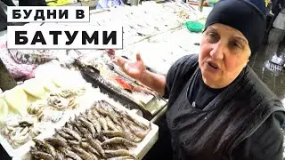 Рыбный рынок Батуми | КАК работает мой бизнес | Будни в Батуми