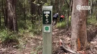 A little peak at some of the Noosa Trail Network's single track