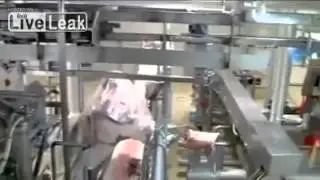 Automated Butcher