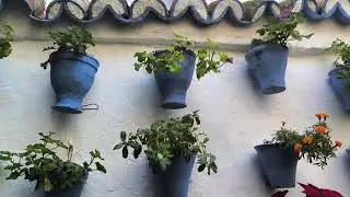 LOS PATIOS DE CÓRDOBA 2