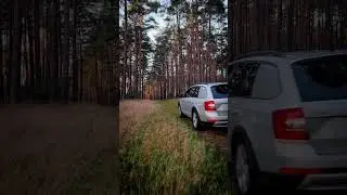 BF2 on Tour #forst #forsttechnik #forstwirtschaft #landwirtschaft #schwertransport #wald