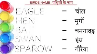 पक्षियों के नाम || Birds name in hindi and english || Birds Name || study kids ll