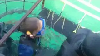 Nokia_GT_h264.mov