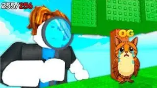 Сыграл в Find the Brainrot в Roblox