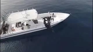 Sail fish ​⁠ @Villahotels  qadventure villa Nautica
