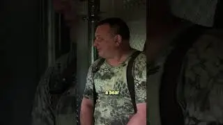Wild  Boar is smart animal