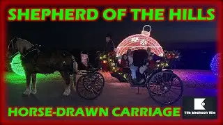 Самая очаровательная рождественская поездка на карете в Брэнсоне | Shepherd of the Hills