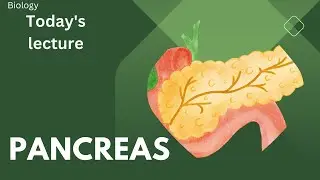 Pancreas in detail | Glucagon | Insulin  10th Class Biology in Urdu, Hindi
