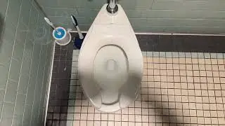 263. Lowe’s Foods Men’s Restroom (One Last Revisit)