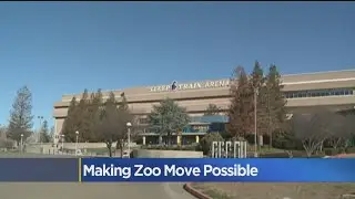What Would It Take To Move Sacramento Zoo To Sleep Train Arena Site?
