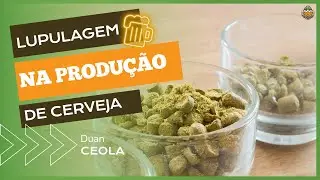 Técnicas de Lupulagem na produção de cerveja artesanal