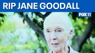 Conservationist Jane Goodall dies at 91 | FOX 11 LA