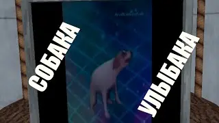 простите | fun monkey horror