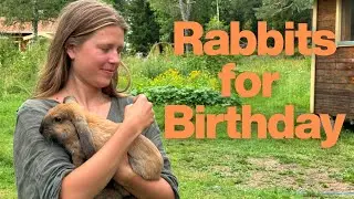 I Got My Daughter Meat Rabbits for Her Second Birthday &ndash; Not as Pets, but as Food