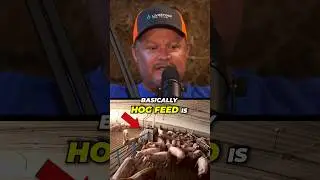 The Ingredients In Hog Feed