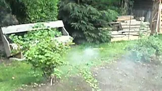 wurzelweg