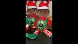 Dollar Tree Elf Cam