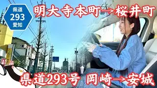 【愛知県岡崎市】県道293号線をドライブ！飲食店激アツゾーンを爽快に駆け巡る！