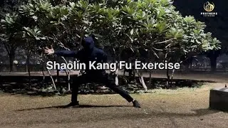 Shaolin Kung Fu: Strength, balance, discipline! #ShaolinKungFu #KungFuTraining  #Balance #Fitness