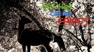 Will They Call Me Fake? — Wild Animals Online