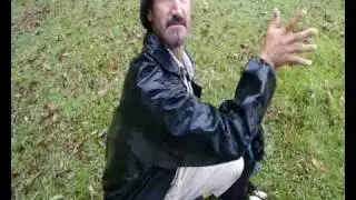 TONS DO APITO NO PASTOREIO COM BORDER COLLIE- POR JEFERSON MUNHOZ